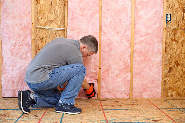 Best Insulation Maintenance and Repair in Glenmora, LA