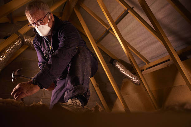 Best Insulation Materials and Products in Glenmora, LA