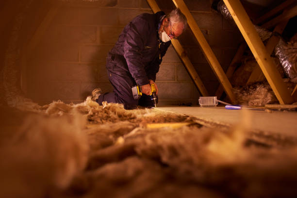Best Insulation Maintenance and Repair in Glenmora, LA