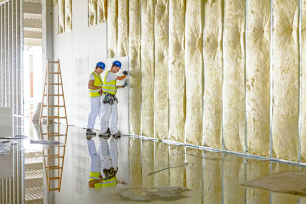 Best Insulation Installation Services in Glenmora, LA